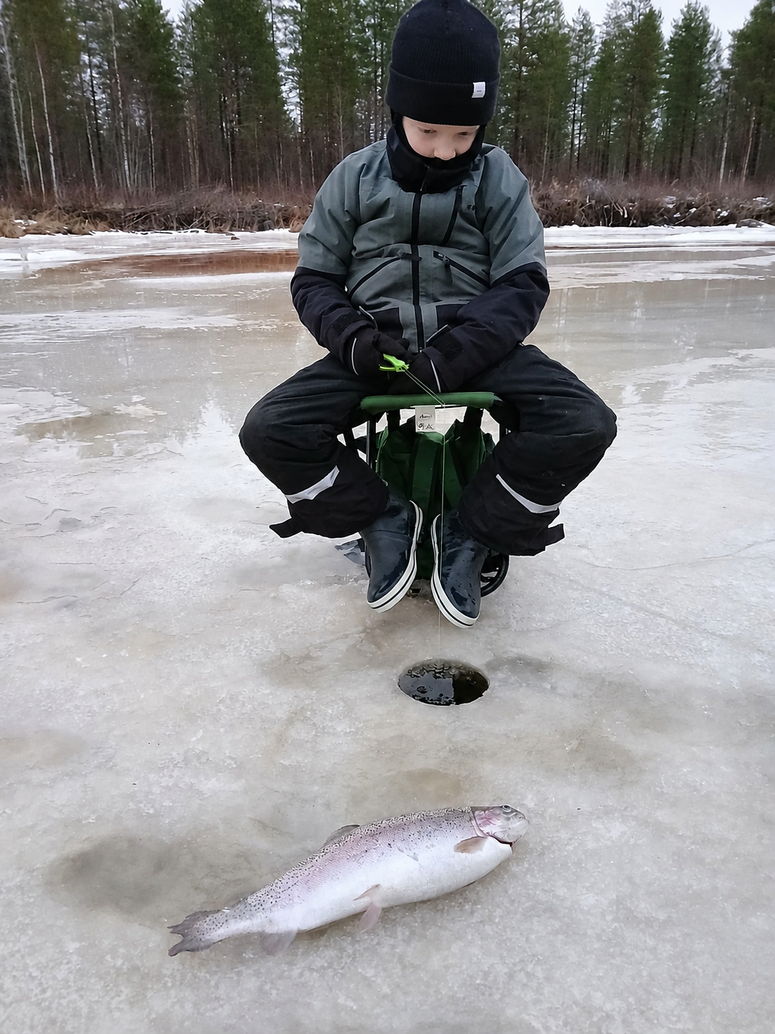 Talvinen jääreuna