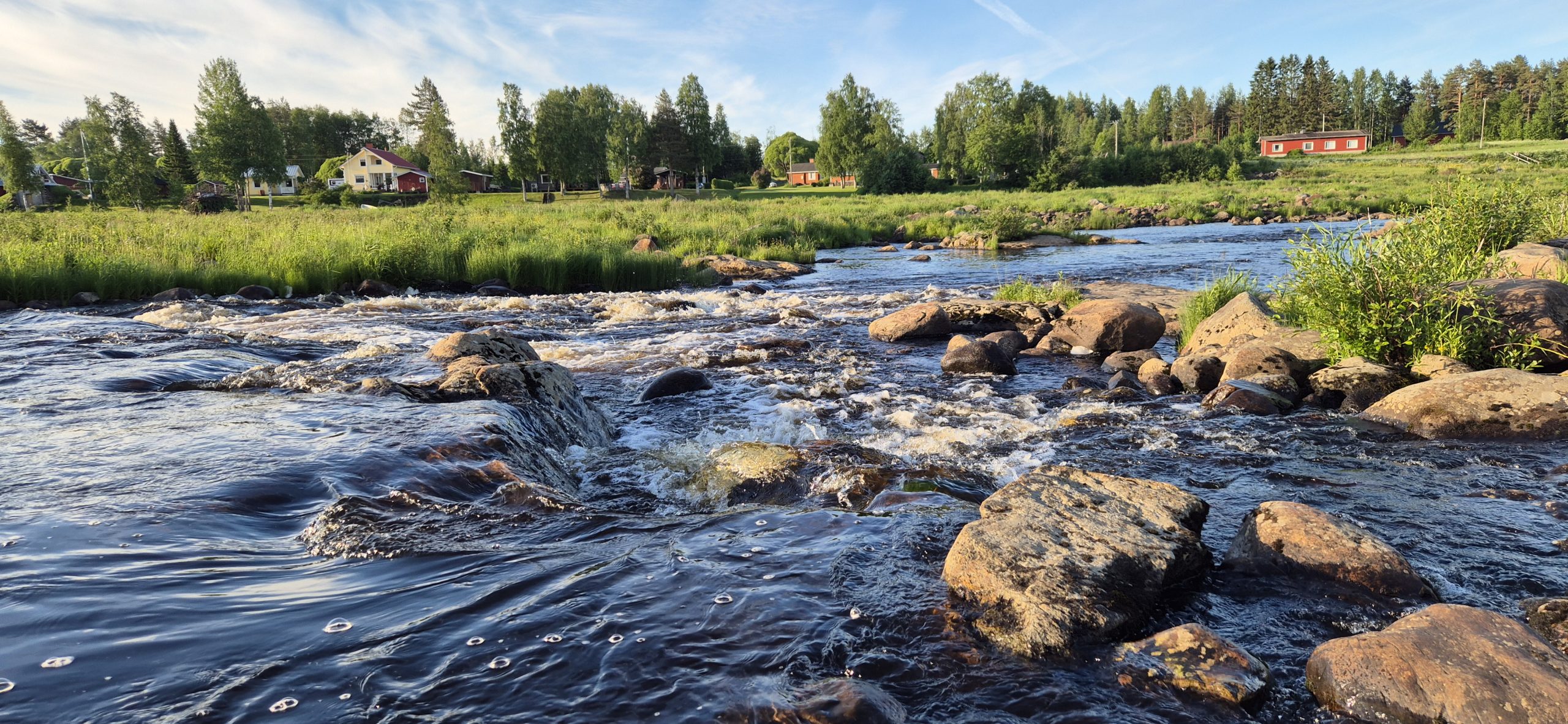 Aamu-usva joen yllä