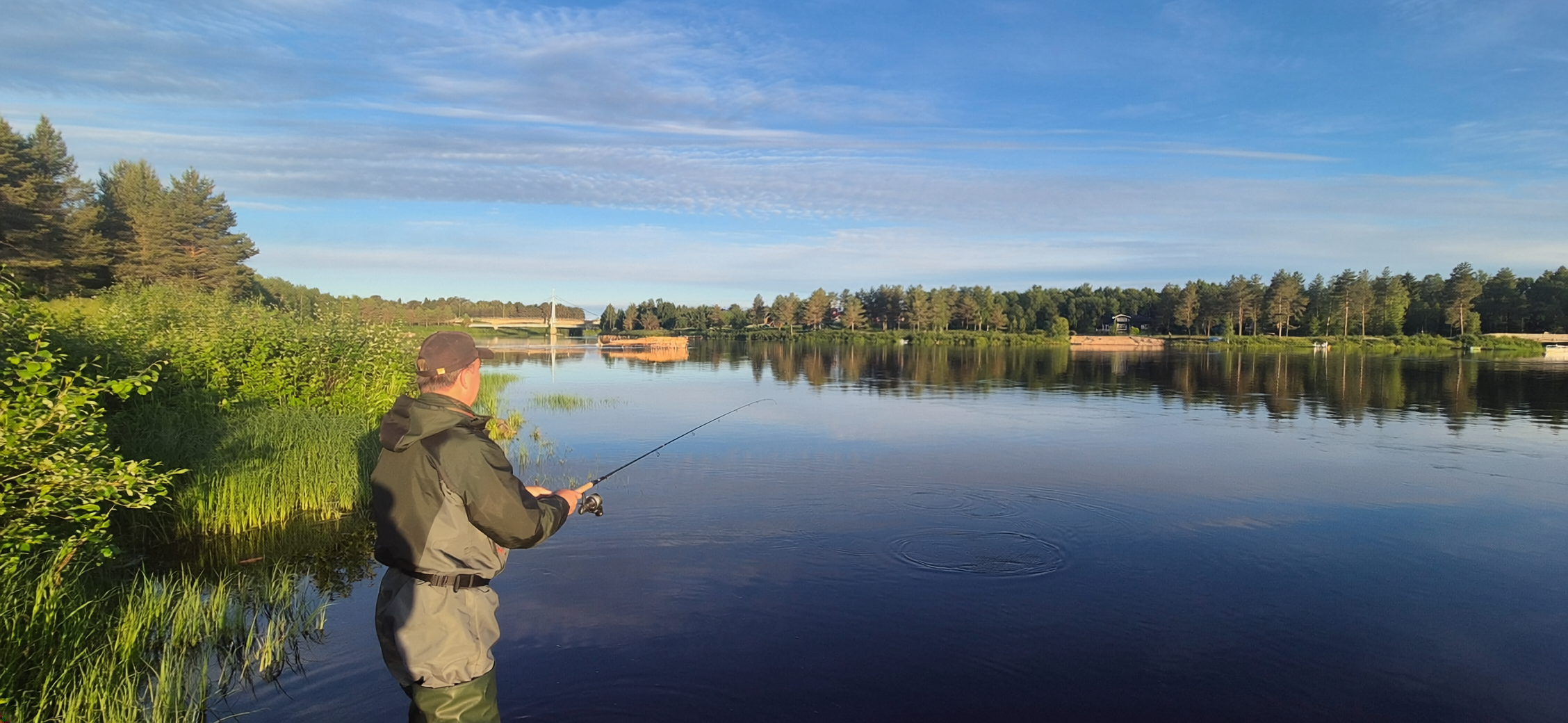 Viehekalastus Iijoella